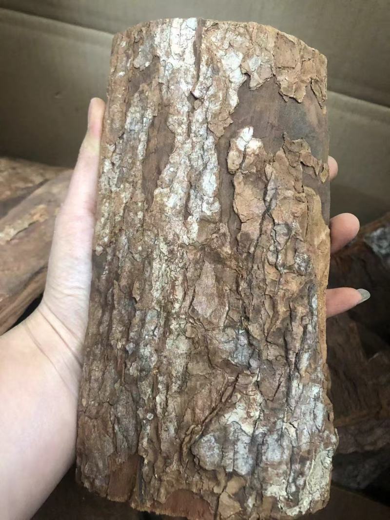 卡宾达树皮，一手货源，质量保证，价格便宜