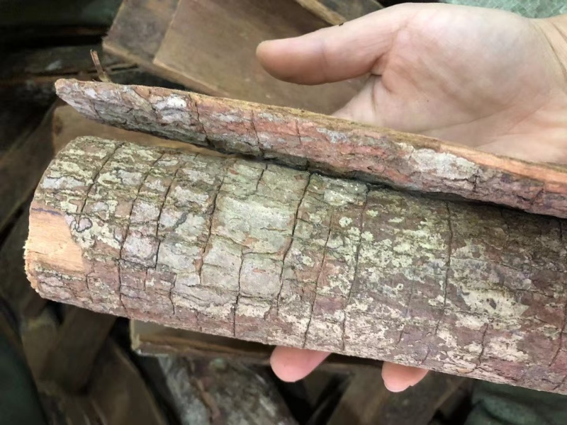 卡宾达树皮，一手货源，质量保证，价格便宜