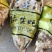 生蚝