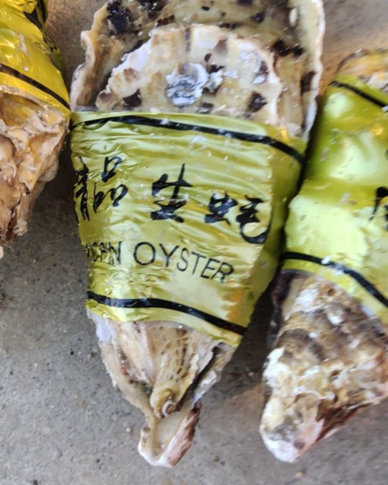 生蚝
