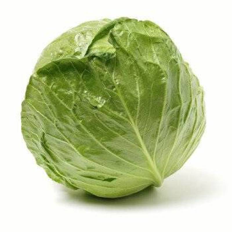 包菜