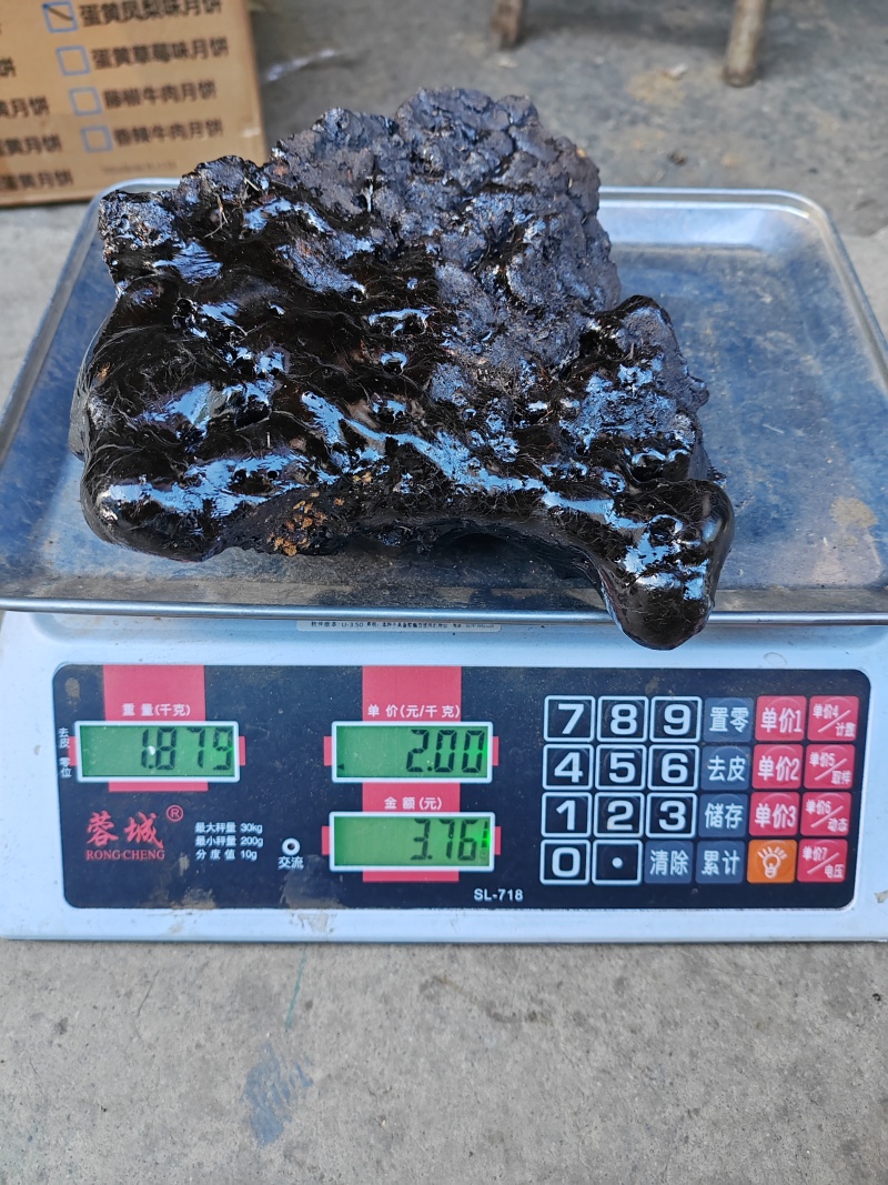 悬崖峭壁上的稀有中药材，精品猴结