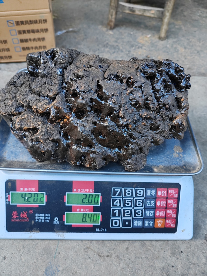 悬崖峭壁上的稀有中药材，精品猴结