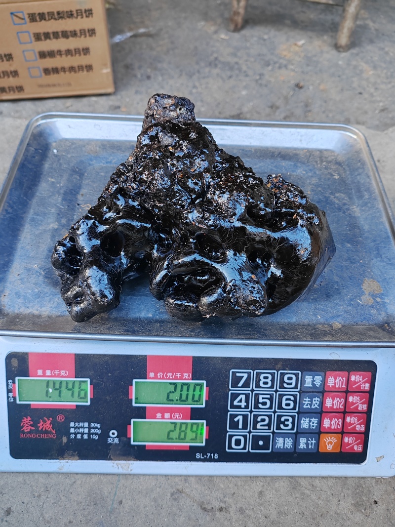 悬崖峭壁上的稀有中药材，精品猴结