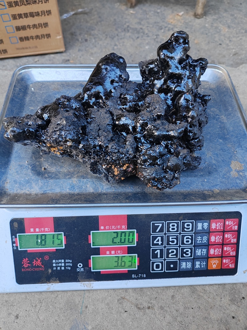 悬崖峭壁上的稀有中药材，精品猴结