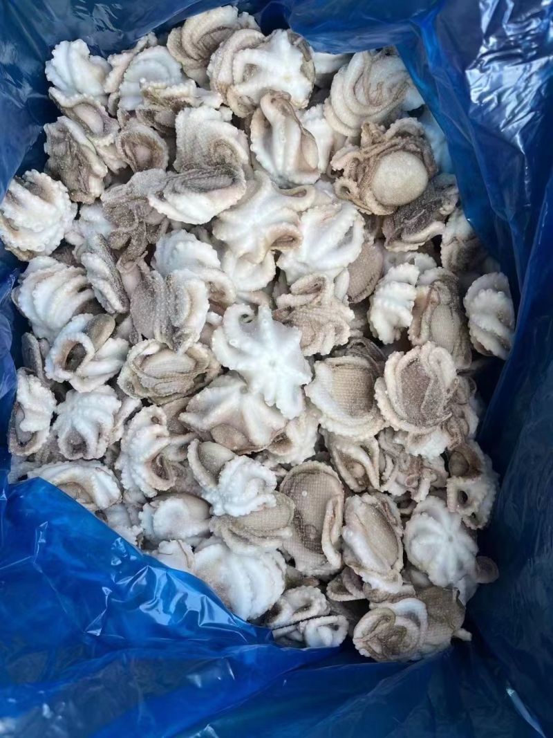 19斤装冻三去盐揉八爪鱼，选用国产原料，去牙去眼去墨量大