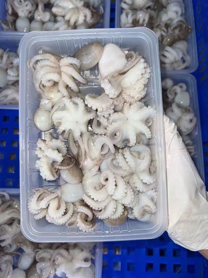 19斤装冻三去盐揉八爪鱼，选用国产原料，去牙去眼去墨量大