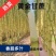 【黄金甘蔗】云南黄金甘蔗孕妇水果当季新鲜发货皮薄清甜多汁不腻