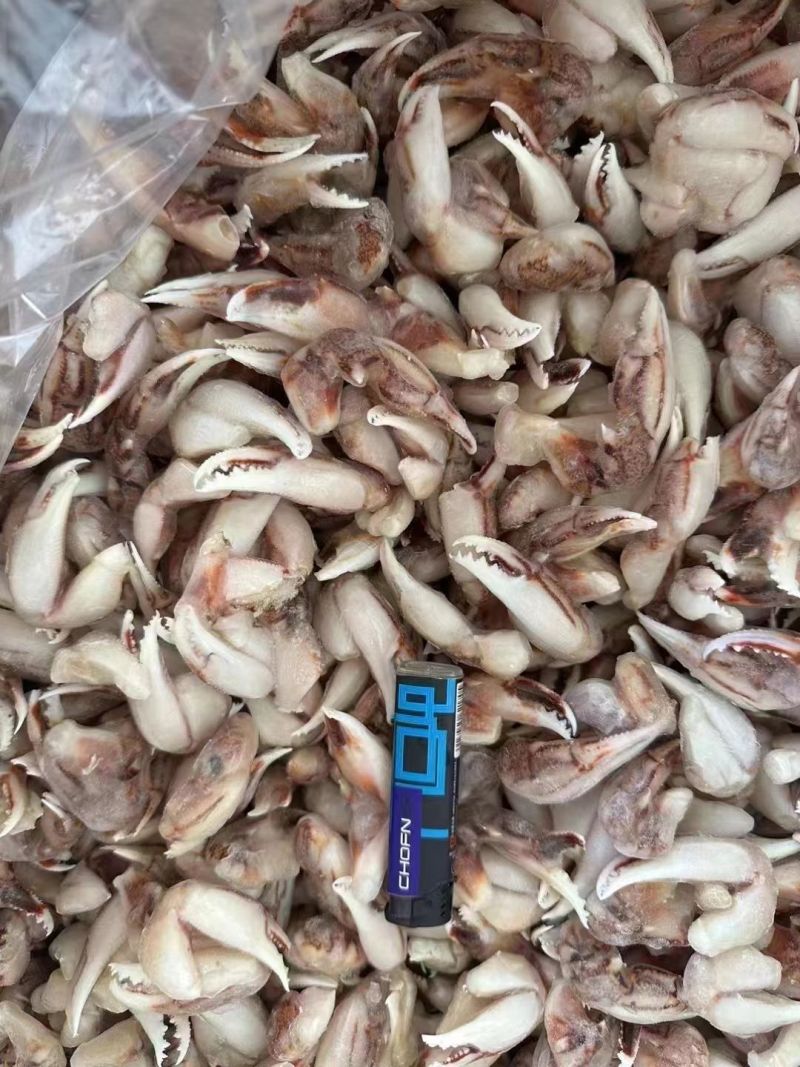 冻沙蟹钳大量供货价格美丽捞汁小海鲜欢迎老板来店详谈
