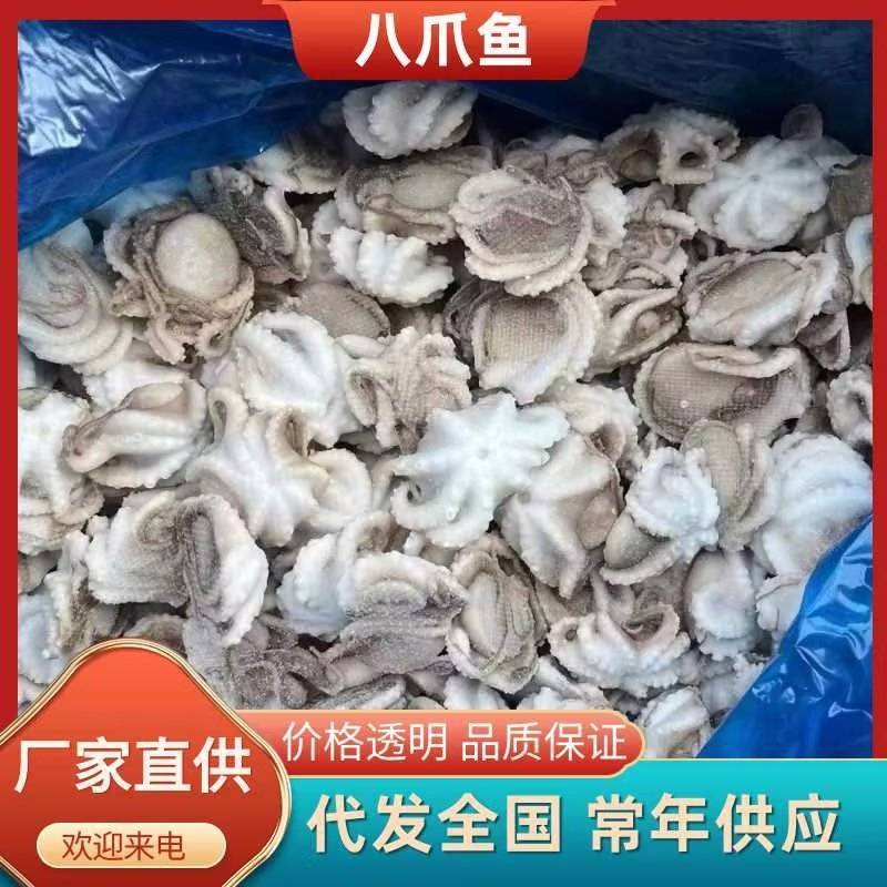 19斤装冻三去盐揉八爪鱼，选用国产原料，去牙去眼去墨量大