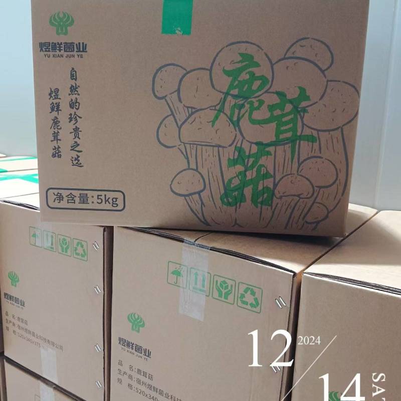 鹿茸菇