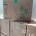 鹿茸菇