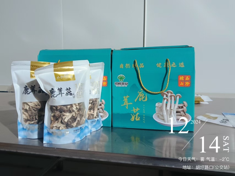 鹿茸菇