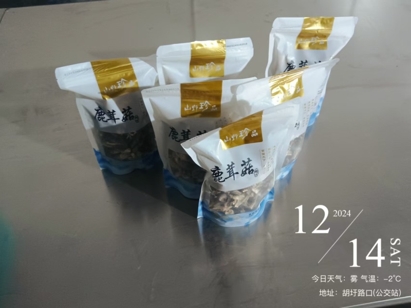 鹿茸菇