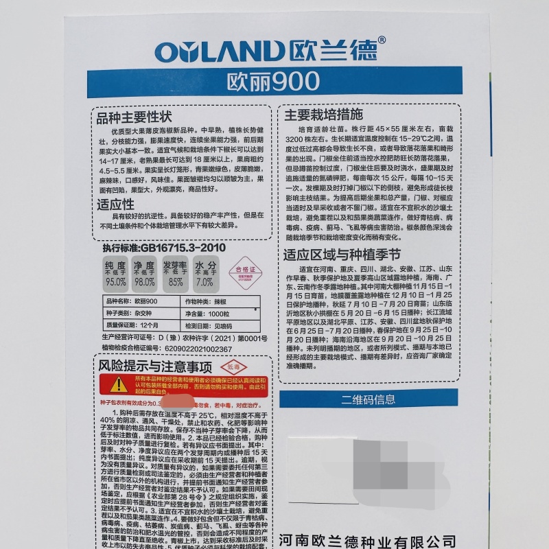 欧丽900辣椒种子大果薄皮泡椒种子早熟青椒高产麻辣脆嫩