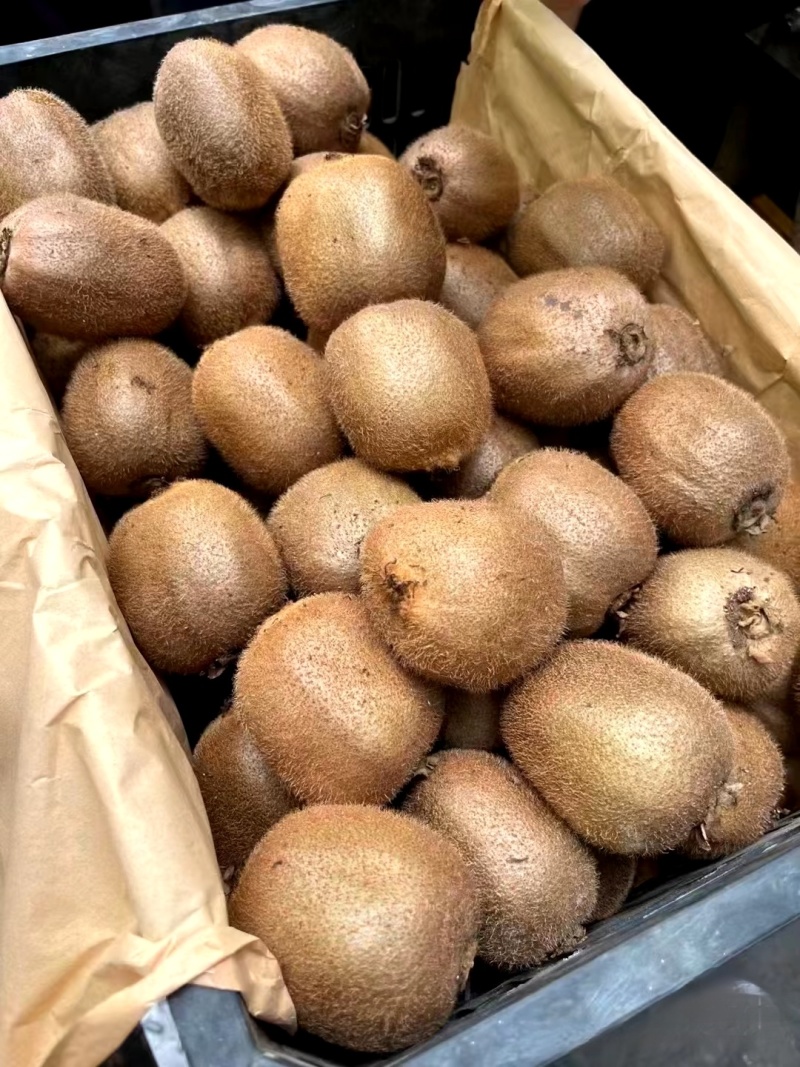 陕西猕猴桃精品徐香猕猴桃产地直供量大从优随行就市