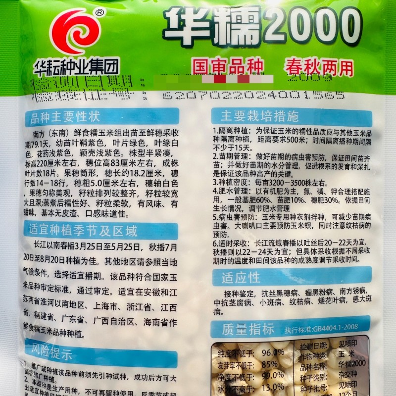 国审华糯2000玉米种子春秋播白糯玉米种子鲜食糯玉米种籽