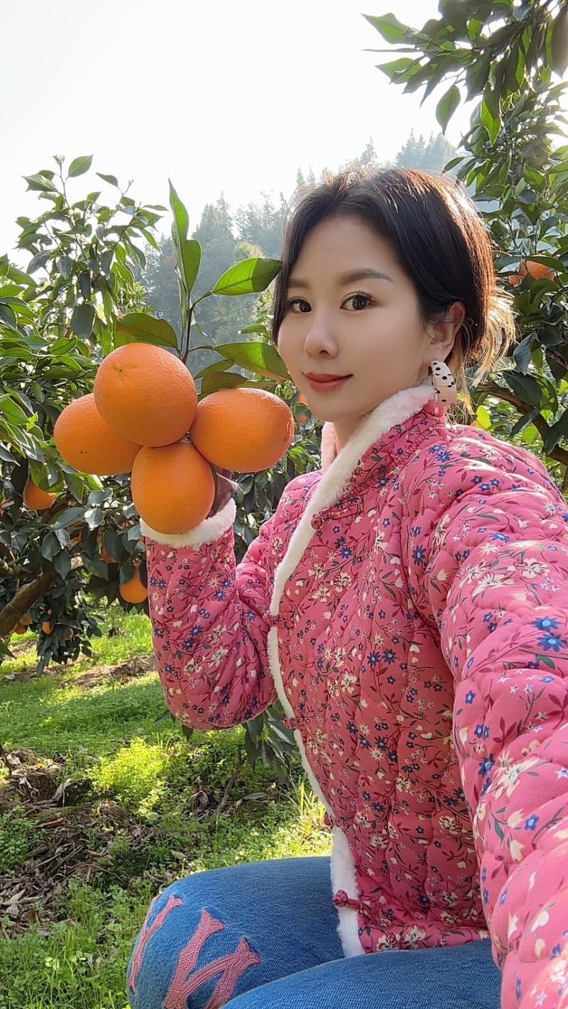 脐橙纽荷尔九月红长虹血橙大量有货，产地直销价格便宜.