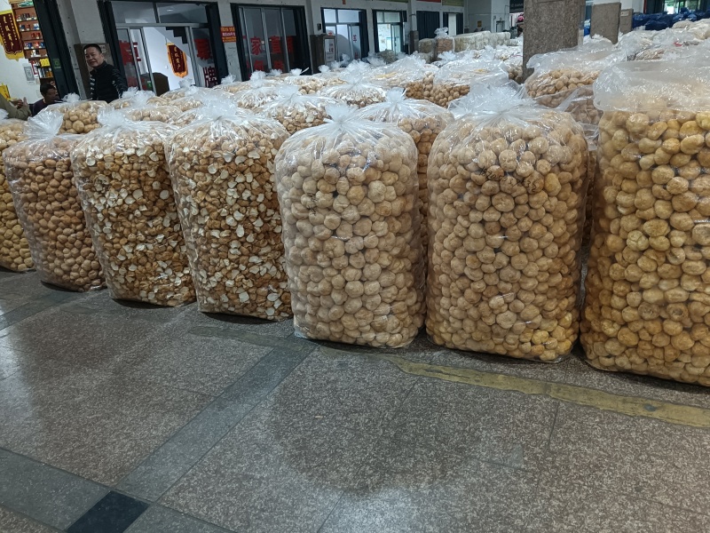 特价新货猴头菇，视频看货福建古田食用菌之都食用菌批发市场
