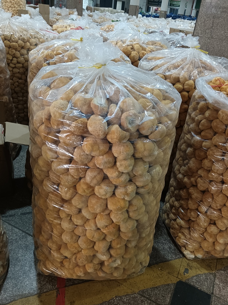 特价新货猴头菇，视频看货福建古田食用菌之都食用菌批发市场
