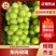 莱西习甜习甜的阳光玫瑰大量现货价格美丽一手货源