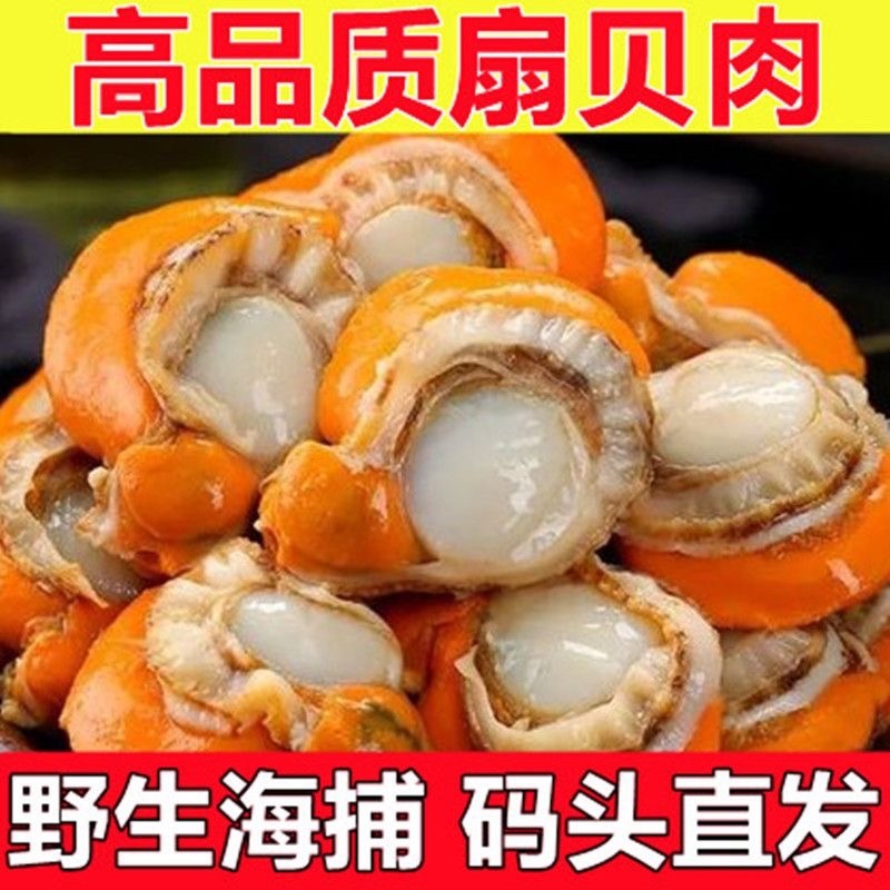 常年供应酒店市场扇贝肉