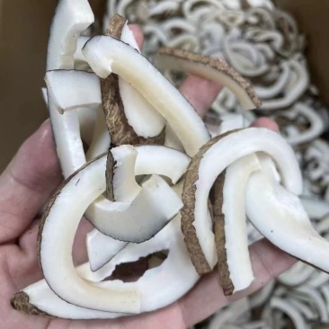 一斤装椰子条