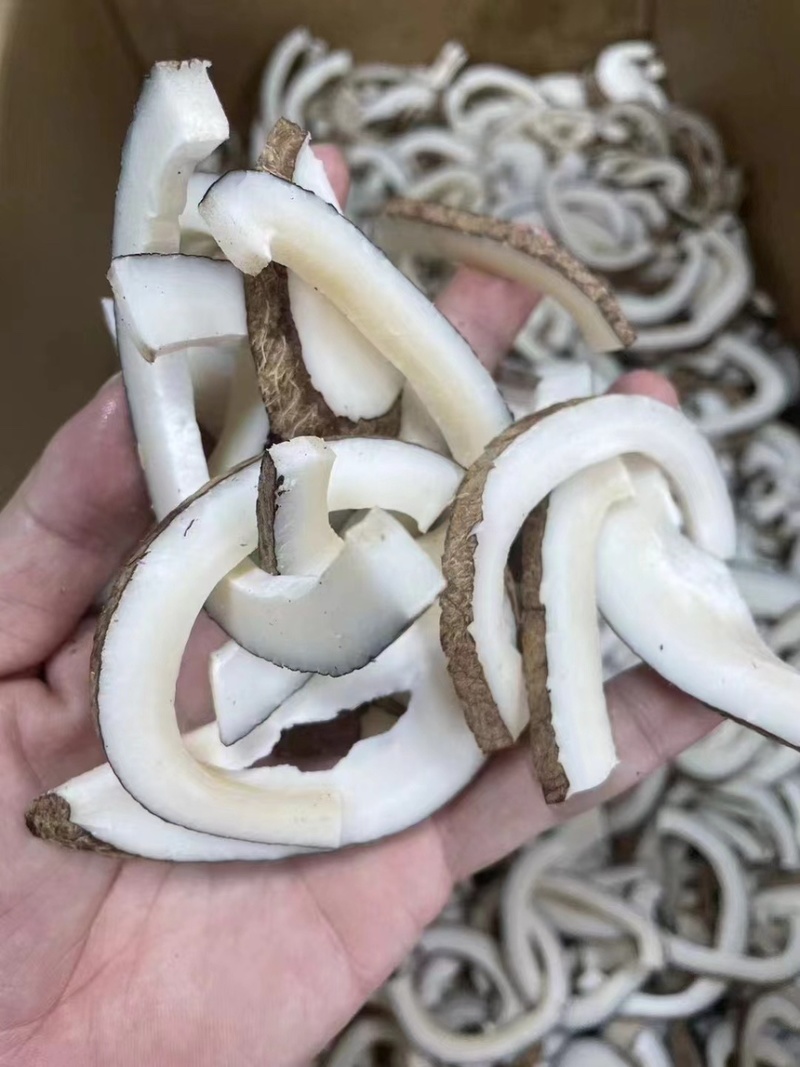 一斤装椰子条