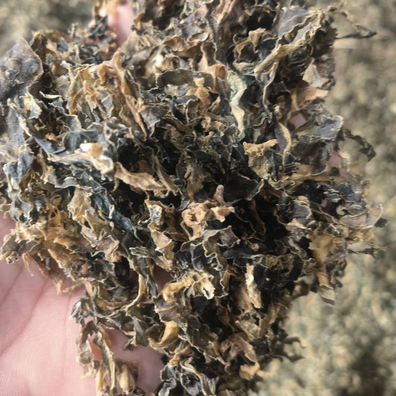 【精品】梅干菜大量现货供应手工筛选无沙无尘欢迎来电咨询