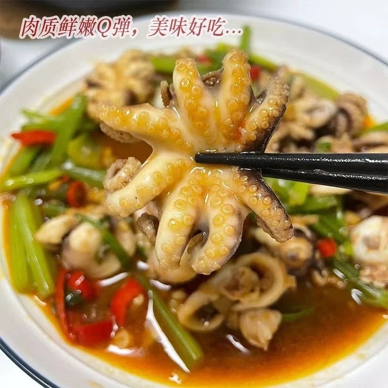 连云港冰鲜短腿八爪鱼章鱼批发