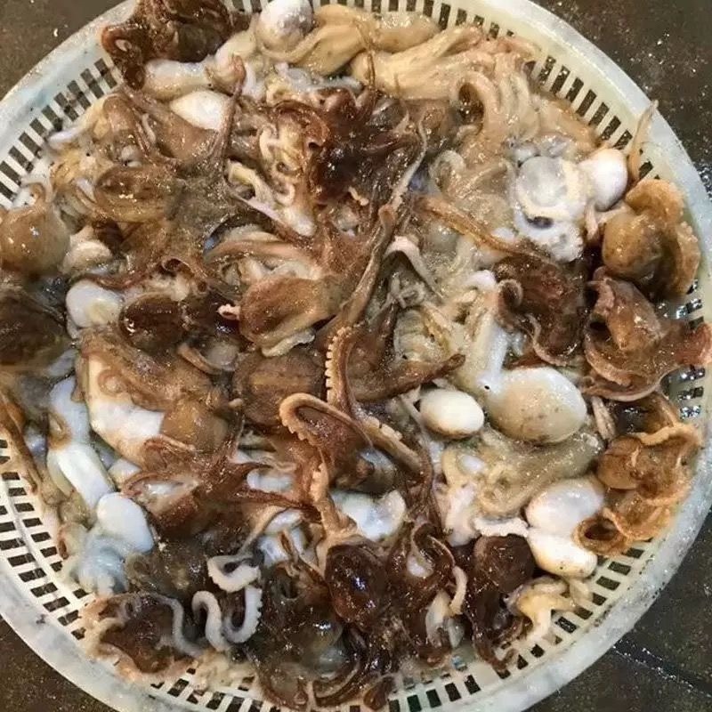 连云港冰鲜短腿八爪鱼章鱼批发
