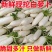 新一季白萝卜，四川产地直发，全国供货，品质保证，欢迎订购