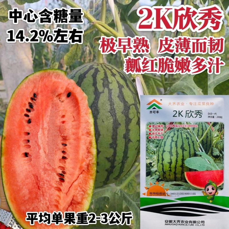 大齐2K欣秀西瓜种子超甜水果皮薄红瓤脆甜礼品西瓜种子早熟