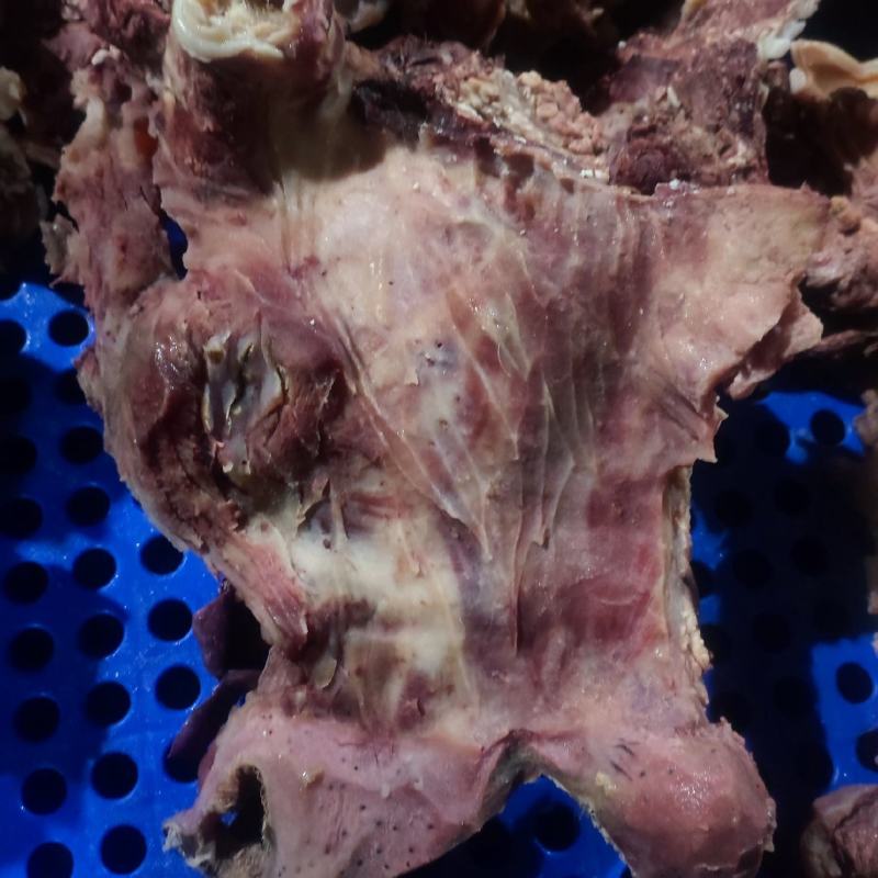 去皮牛头肉去淋巴去油