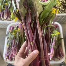 精品红菜苔