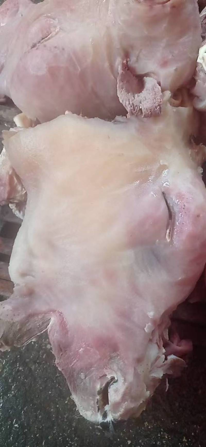 一手货源新鲜牛头肉随时可聊价格美丽品质保证