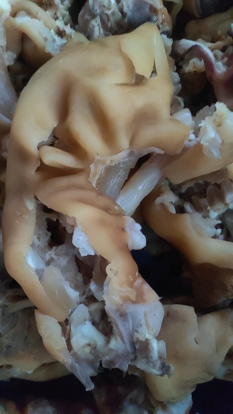 去骨牛蹄筋