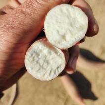 冰糖心红薯白心地瓜精品白哈蜜薯白心蜜薯地瓜