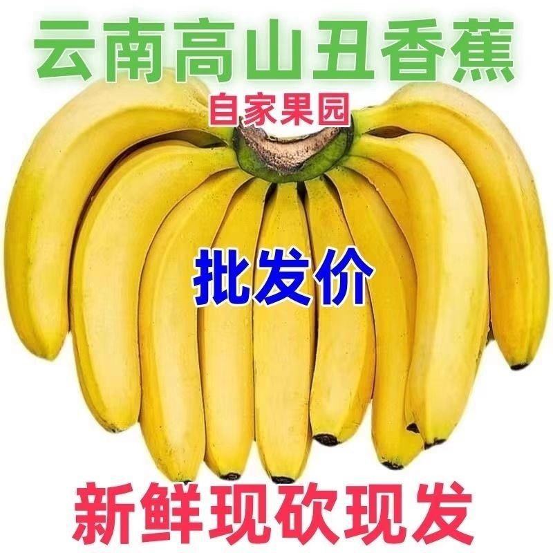 云南巴西蕉一件代发香蕉一件也发货