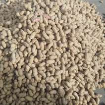 精品花生，货源充足一手货源，量大从优，欢迎选购