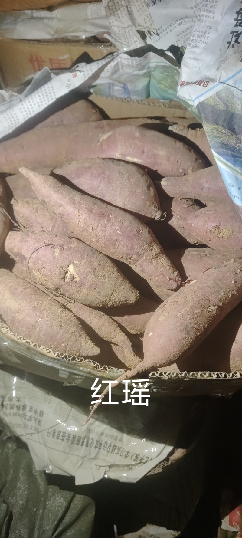 玛莎丽红薯，口感特别香甜软糯基地直发保质保量一条龙服务
