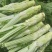 圆叶棒菜四川绵阳圆叶棒菜。肉长无斑版叶棒菜