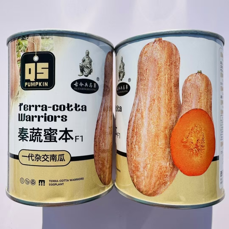 新品种美甜2号蜜本南瓜种子大果蜜本南瓜种籽优质高产粉