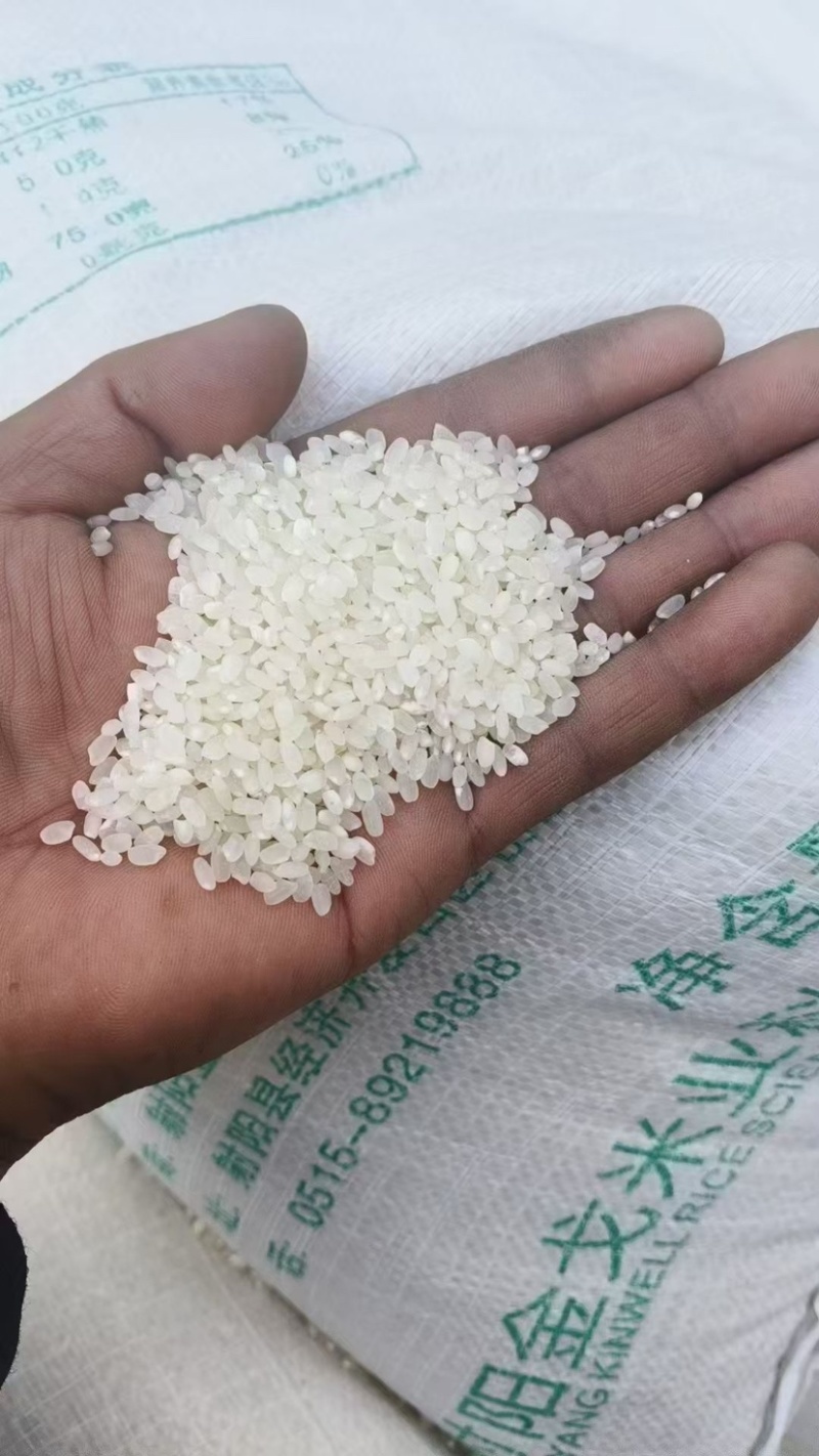 24年珍珠米3540元/吨批拉批结