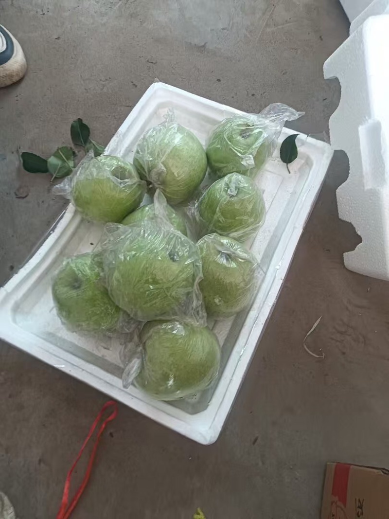 精品苹果王林苹果品质保证基地直发价格实惠