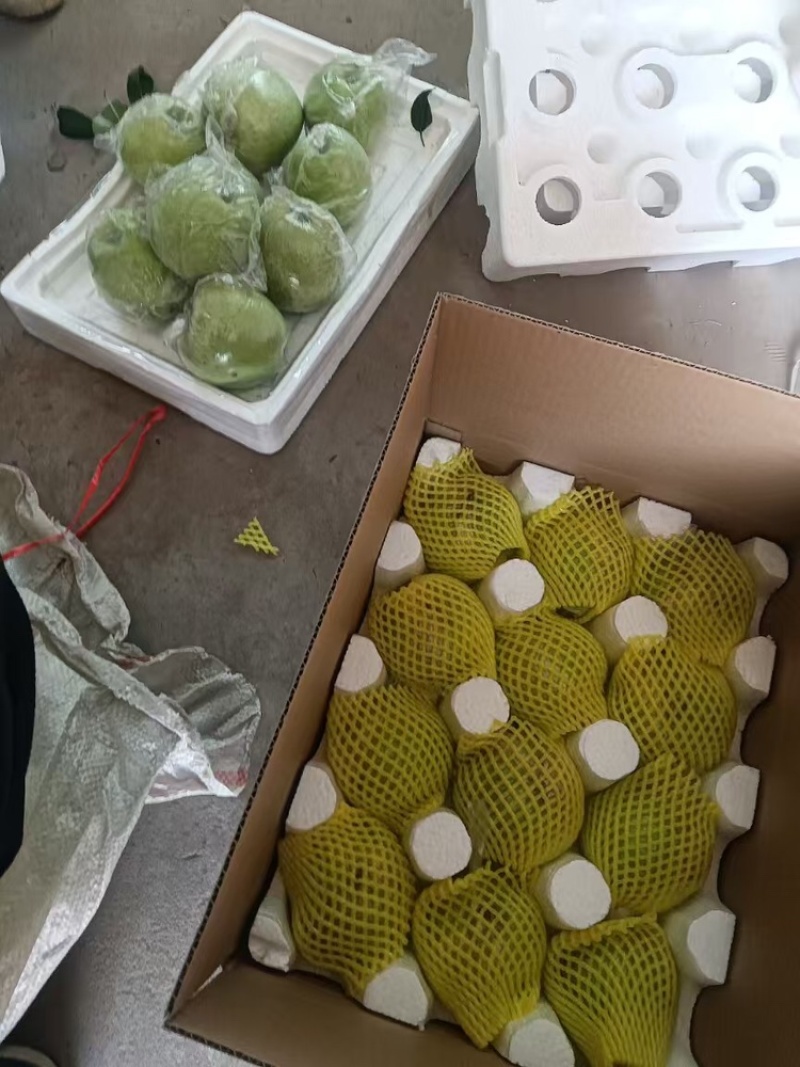 精品苹果王林苹果品质保证基地直发价格实惠