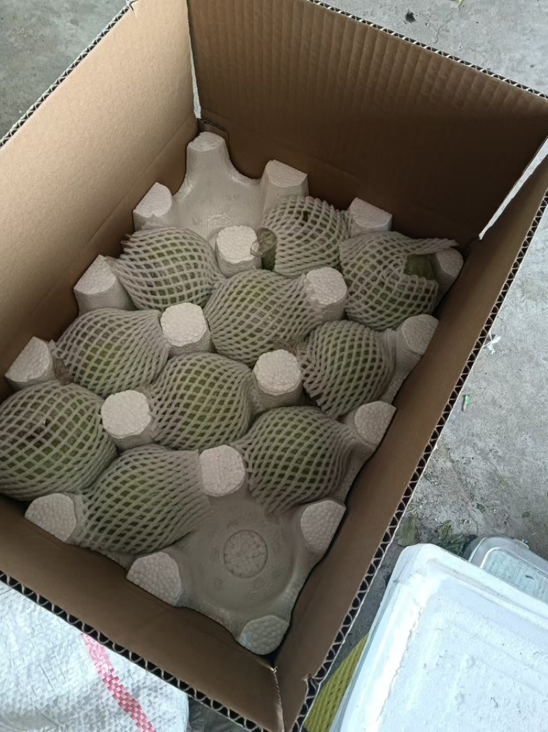 精品苹果王林苹果品质保证基地直发价格实惠