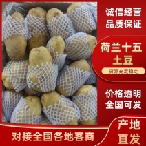 大量供应冷库土豆，大量现货，对接超市电商批发市场