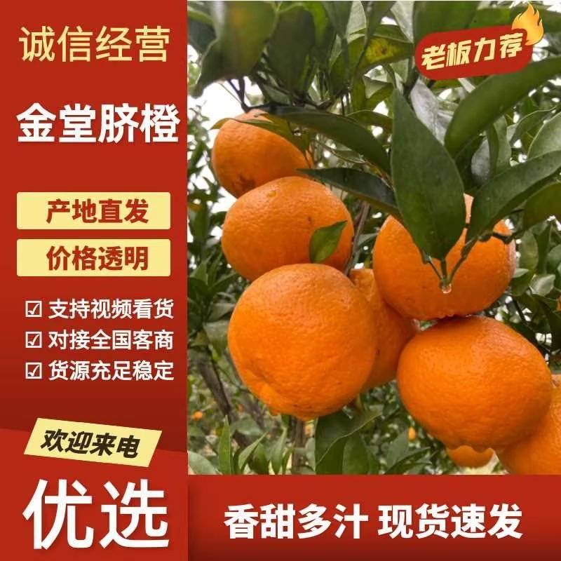 金堂脐橙货源充足现摘现发欢迎联系，对接大量商场市场