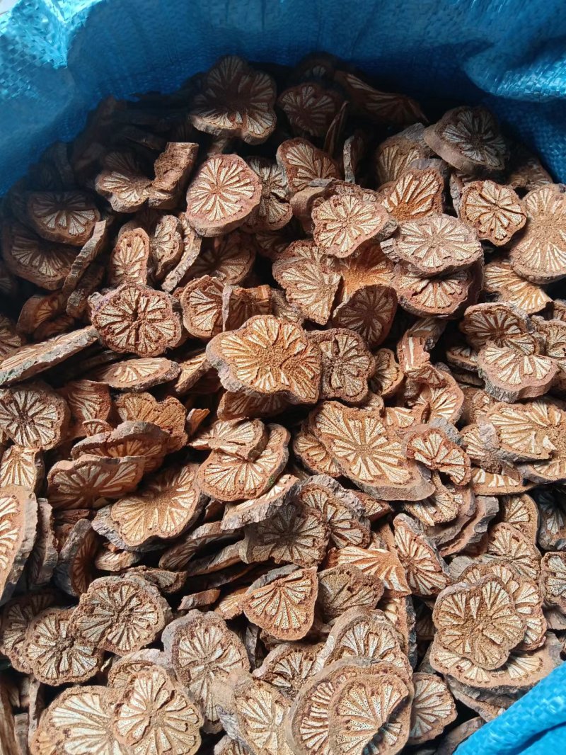 大血藤，血塞通，老藤切片！百年红藤！可预订大货！